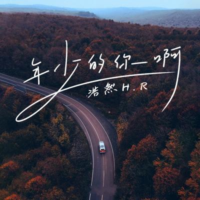 年少的你啊 (Dj九零版0.9X) By 浩然H.R, 九零's cover