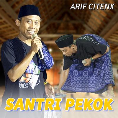 Santri Pekok's cover