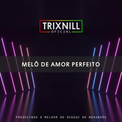 Melô de Amor Perfeito (Reggae Internacional) By TrixNill's cover