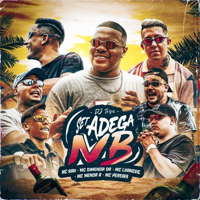 SET ADEGA NB By Mc Dimenor Dr, Dj Tripa, MC Rah, Mc Pereira, Menor R, MC LHANOVIC's cover