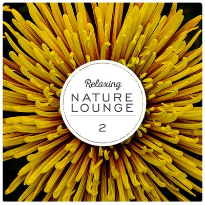 Relaxing Nature Lounge, Vol. 2's cover