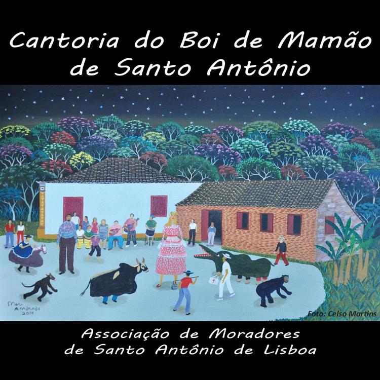 Associação de Moradores de Santo Antônio de Lisboa's avatar image