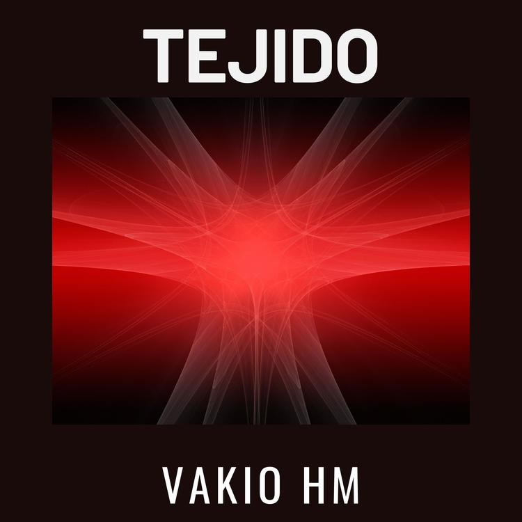 Vakio Hm's avatar image