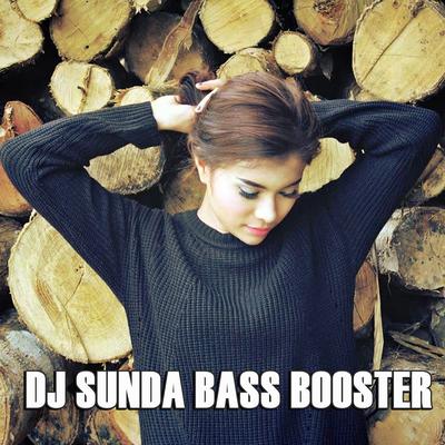 Dj Sunda Bass Booster's cover