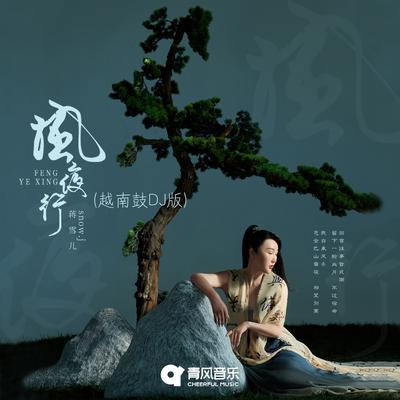 风夜行 (越南鼓DJ 版)'s cover