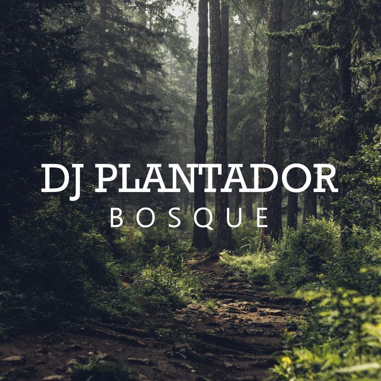 Dj Plantador's avatar image