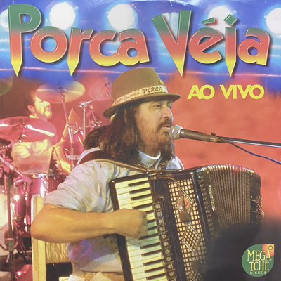 Alma de Gaiteiro (Ao Vivo) By Porca Véia's cover