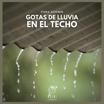 Para Dormir: Gotas de Lluvia en el Techo, Pt. 09's cover