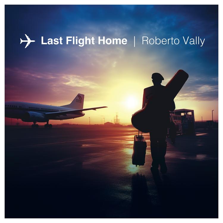 Roberto Vally's avatar image