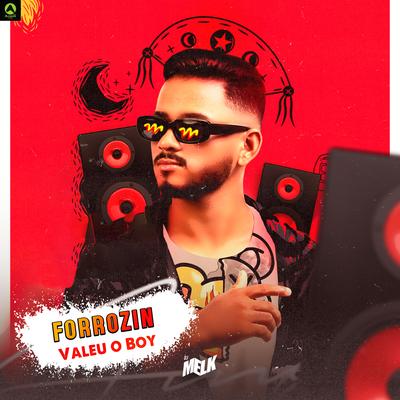 Forrozin Valeu o Boy By djmelk's cover