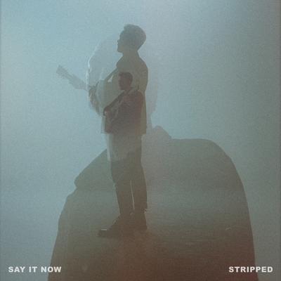 Say It Now (Stripped) By Nick Wilson's cover