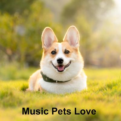 Music For Pets During Thunderstorms's cover