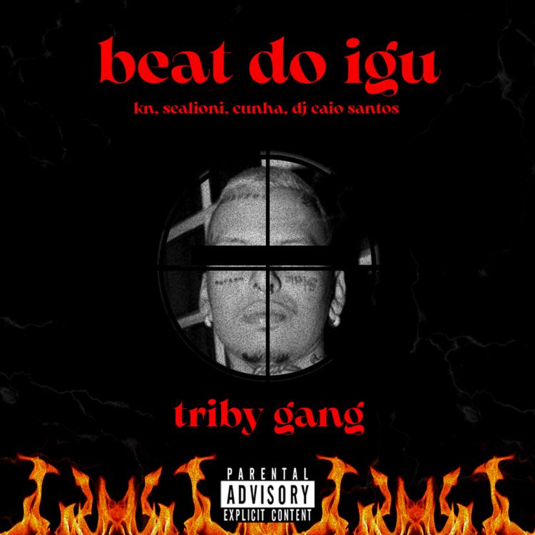 TRIBY GANG's avatar image