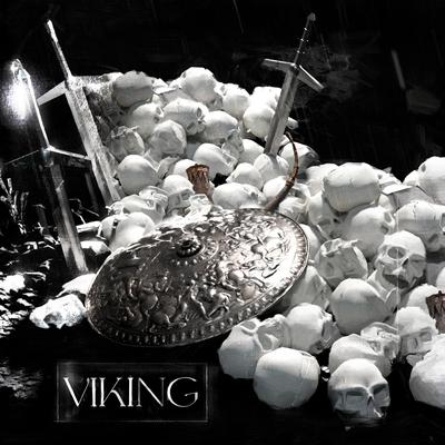 VIKING By TAKESHI's cover