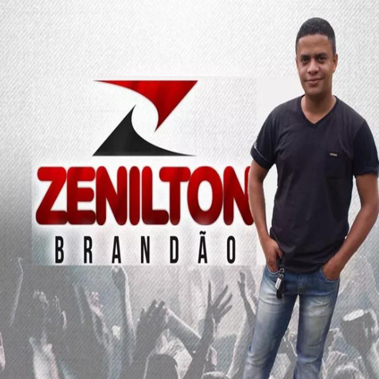 Zenilton Brandão's avatar image