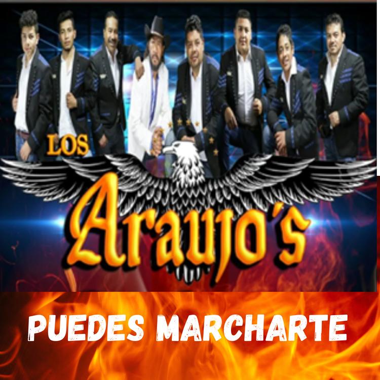 Los Araujos's avatar image