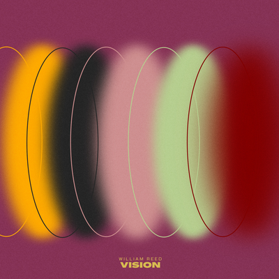 Vision By William Reed's cover