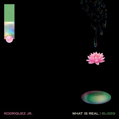 What Is Real By Rodriguez Jr., Liset Alea, Rjla's cover