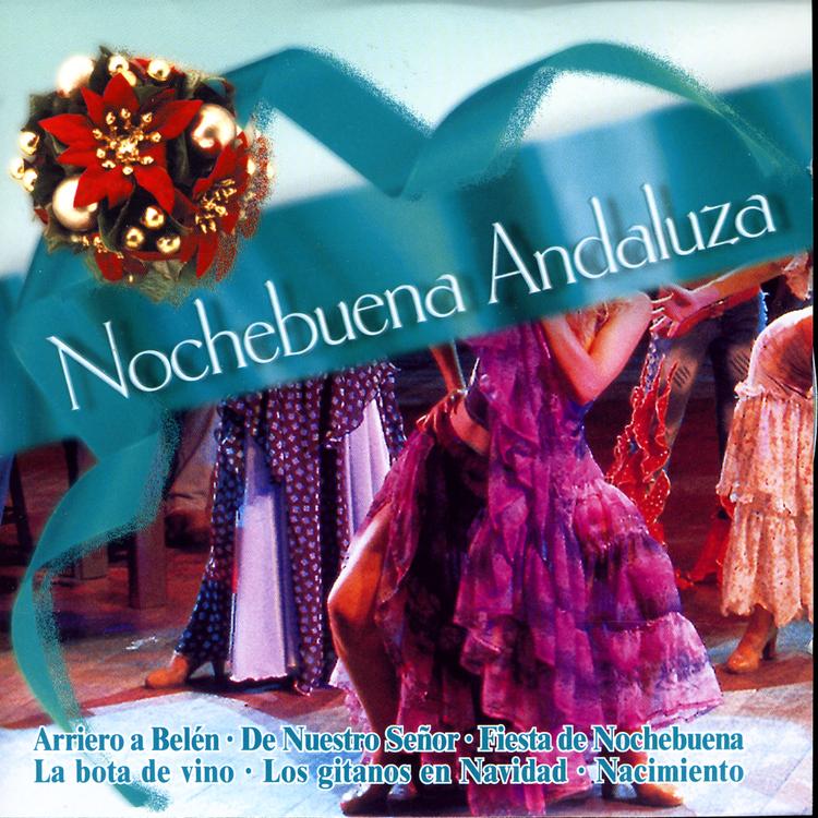 Nochebuena Andaluza (Popular Songs)'s avatar image