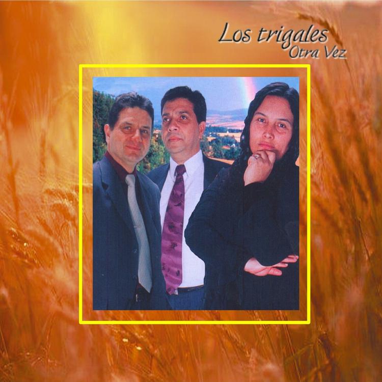 Los Trigales's avatar image