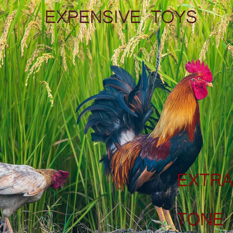 Expensive Toys's avatar image
