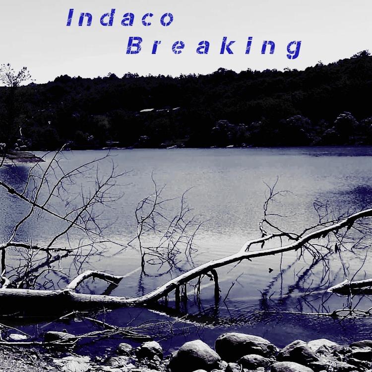 Indaco's avatar image