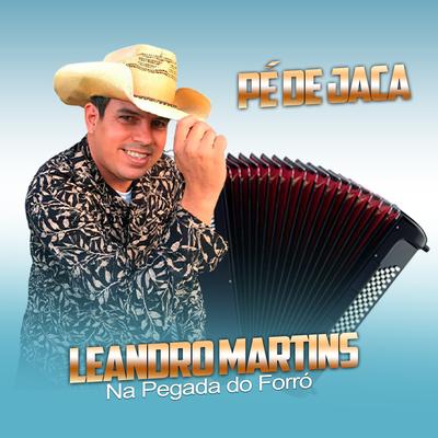 Veio Danado By Leandro Martins Na Pegada do Forró's cover