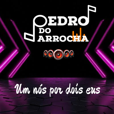 PEDRO DO ARROCHA's cover