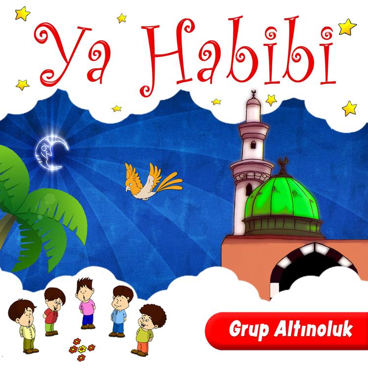 Grup Altınoluk's avatar image