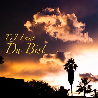 DJ LAUT's cover