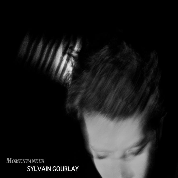 SYLVAIN GOURLAY's avatar image