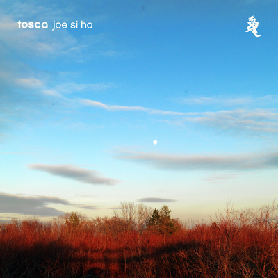 Joe Si Ha By Tosca's cover