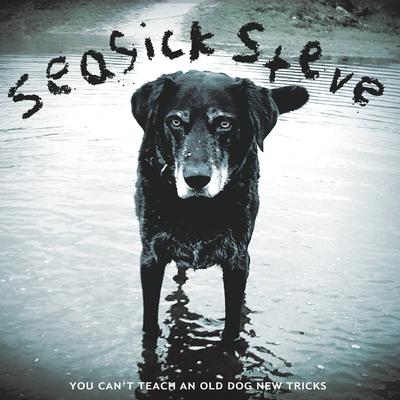 You Can't Teach An Old Dog New Tricks By Seasick Steve's cover