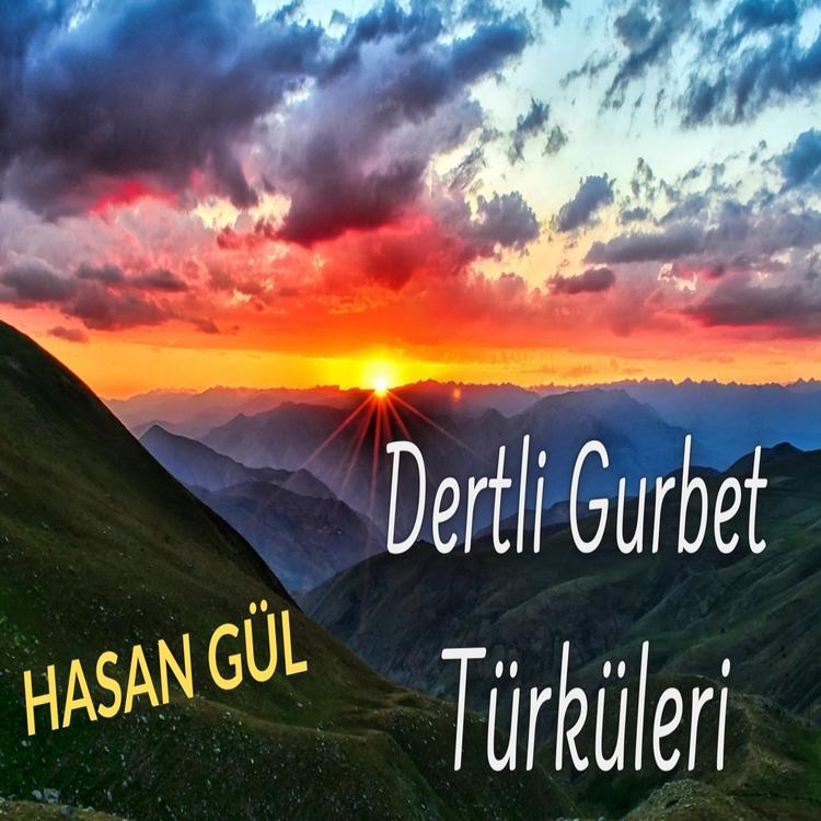 Hasan Gül's avatar image