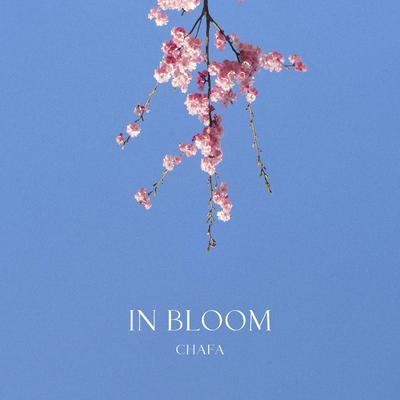 In Bloom By Chafa's cover