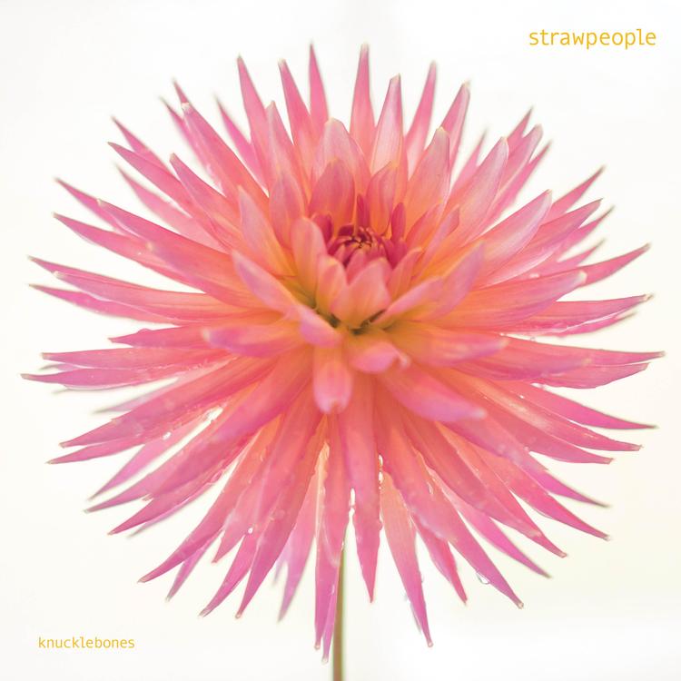 Strawpeople's avatar image