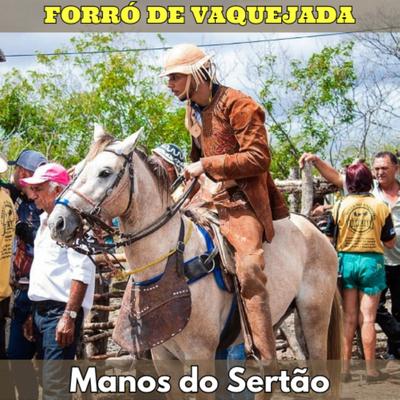 Forró de Vaquejada (Ao Vivo)'s cover