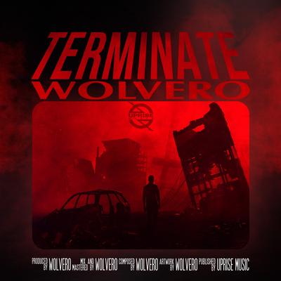 Terminate By Wolvero's cover