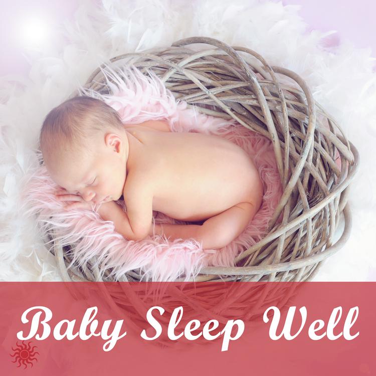 Baby Sleep Well's avatar image