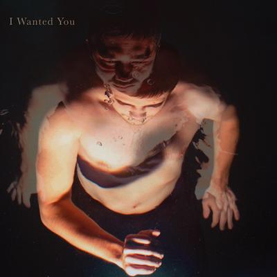 I Wanted You By Roe Kapara's cover