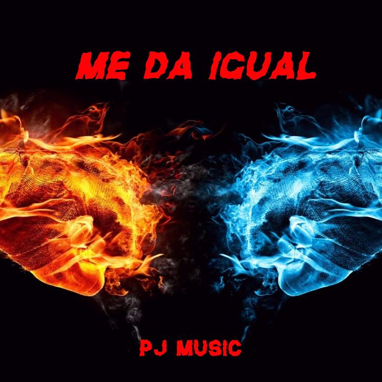 PJ MUSIC's avatar image