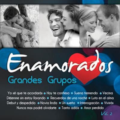 Exitos Grandes Grupos Volumen 2's cover