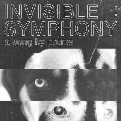 Invisible Symphony By Prume's cover