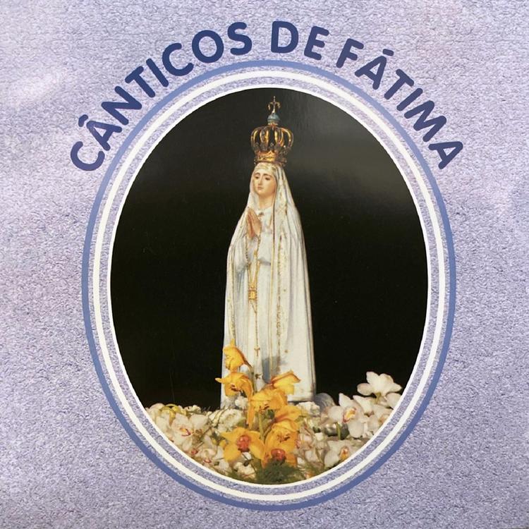 Missões Consolata's avatar image