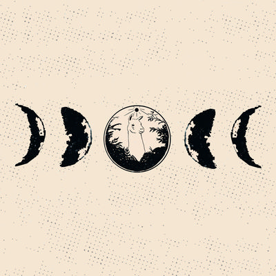 Llama Moon's cover
