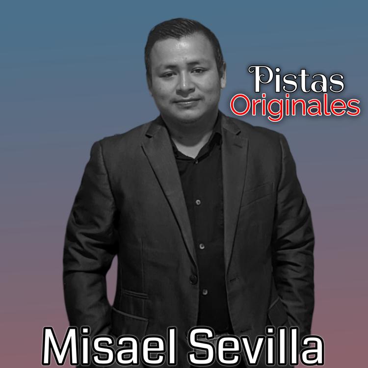 Misael Sevilla's avatar image