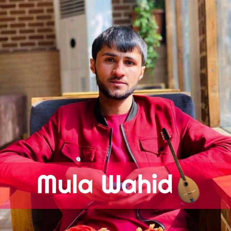 Mula Wahid's avatar image