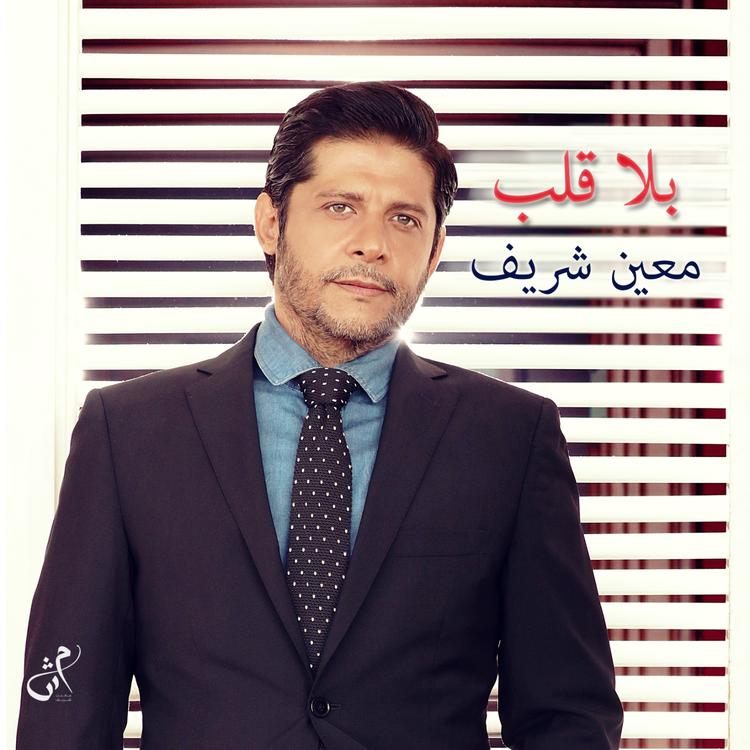 Moeen Shreif's avatar image