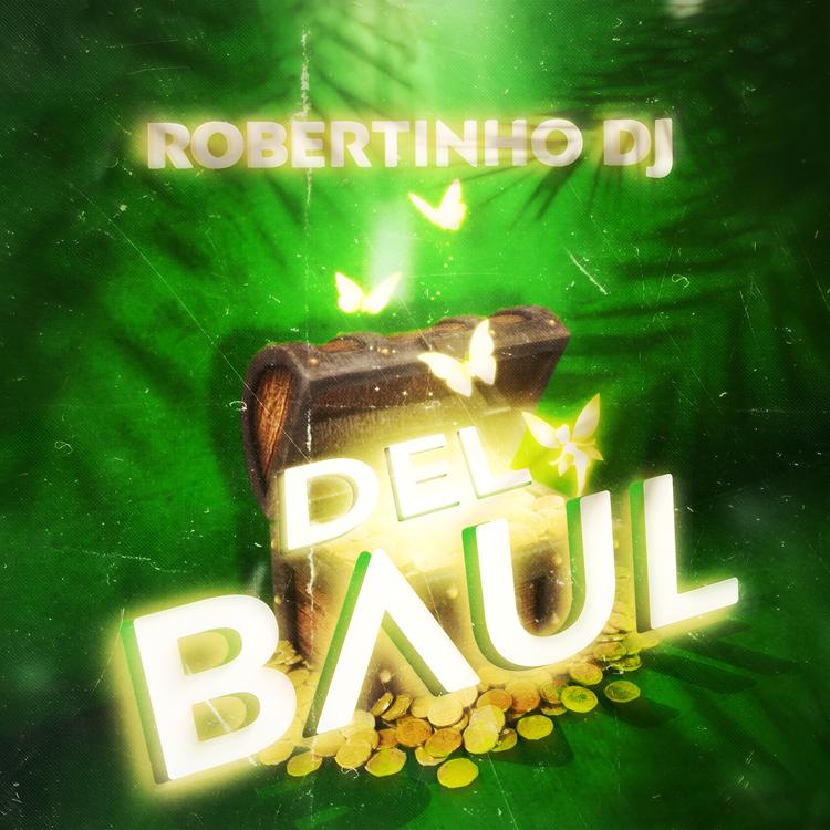 Robertinho Dj's avatar image