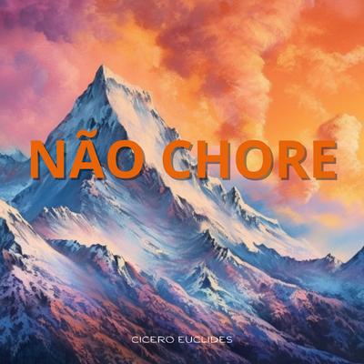 Não Chore's cover